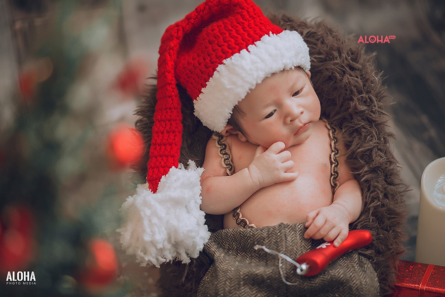 album ảnh giáng sinh newborn